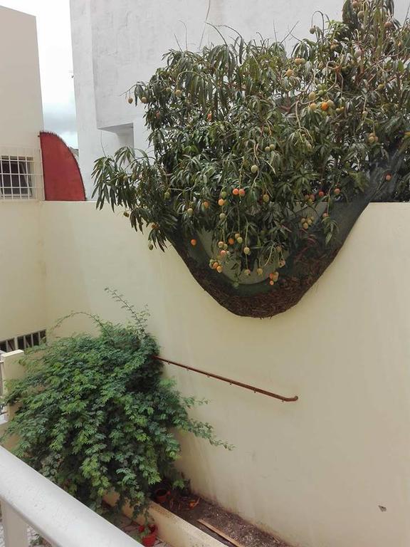 Simabo'S Backpackers' Hostel Mindelo Dış mekan fotoğraf